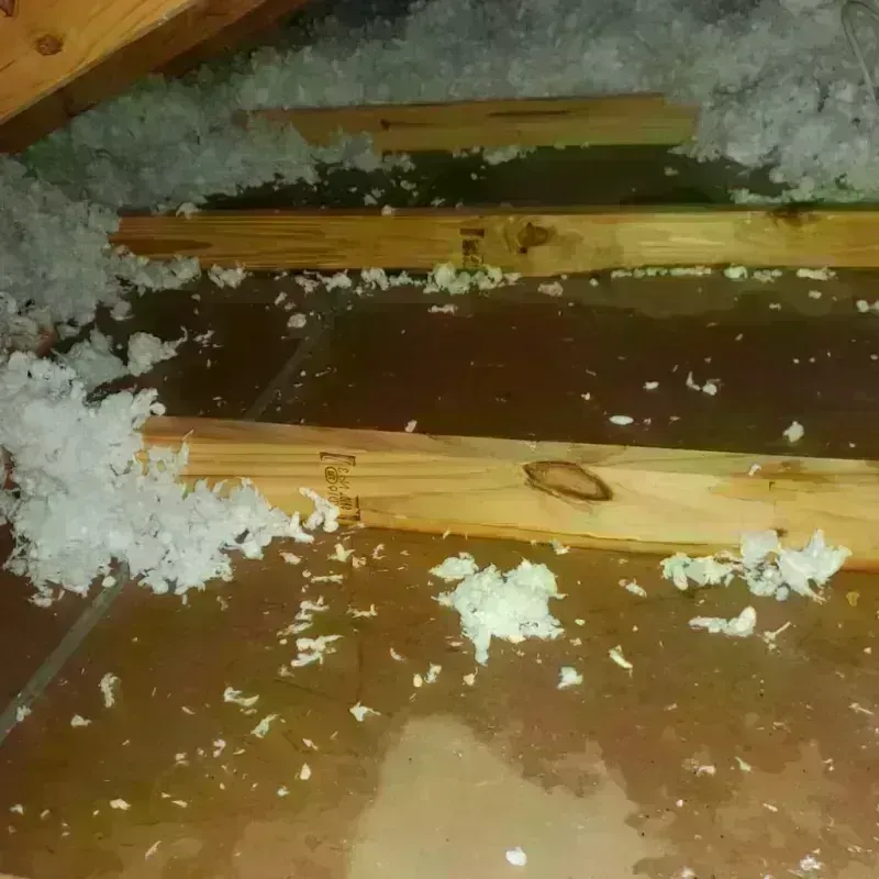 Attic Water Damage in Akron, IN