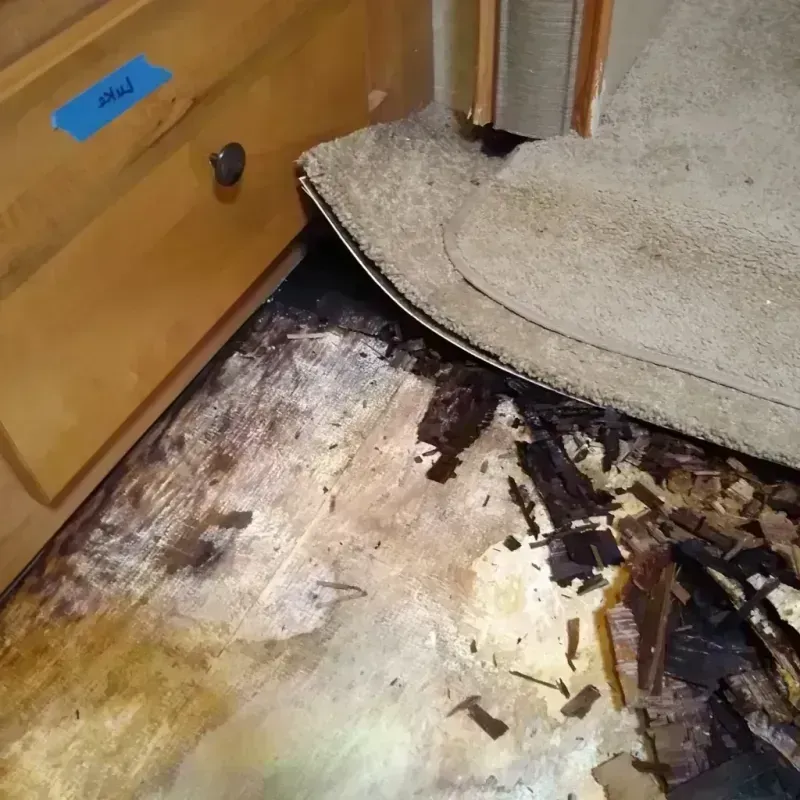 Wood Floor Water Damage in Akron, IN